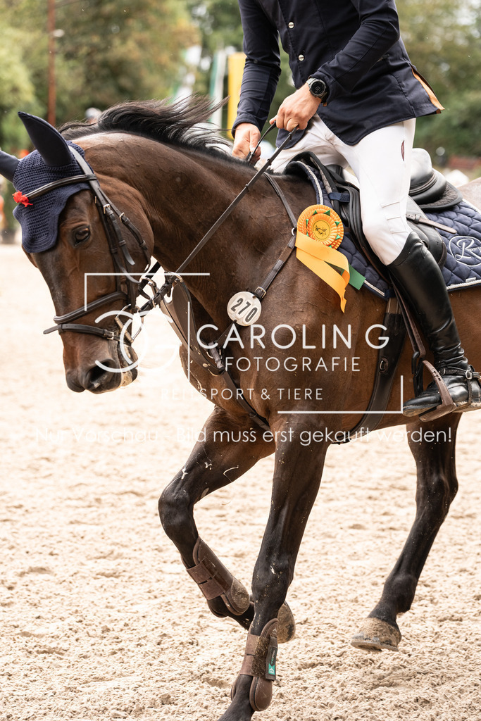 DSC04244 | Carolin Gieschke