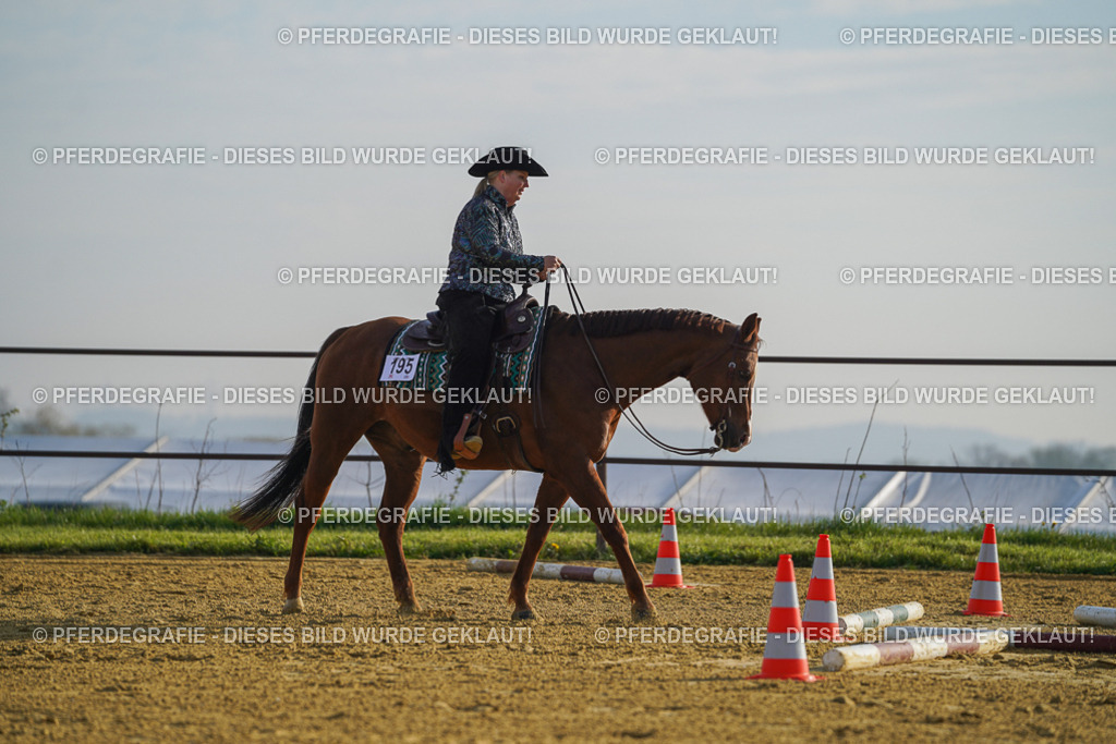 DSC00596 | Pferdegrafie