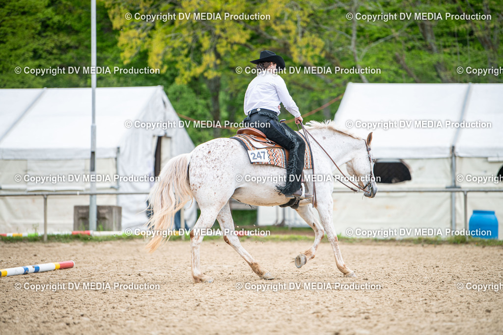 Heiligenwald Tag 1-2033 | dv-media-shop - Realisiert mit Pictrs.com