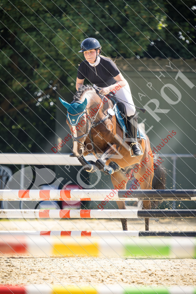 IMG_3452 | Sport-, Event- und Tierfotos in Profiqualität. Einfach auswählen, bestellen und herunterladen. Dein Moment – perfekt festgehalten.