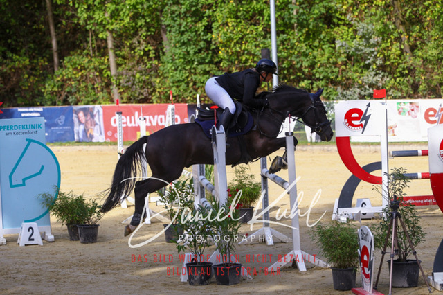 DKP42358 | Turniersportfotografie; Pferdefotografie; Dressurfotografie