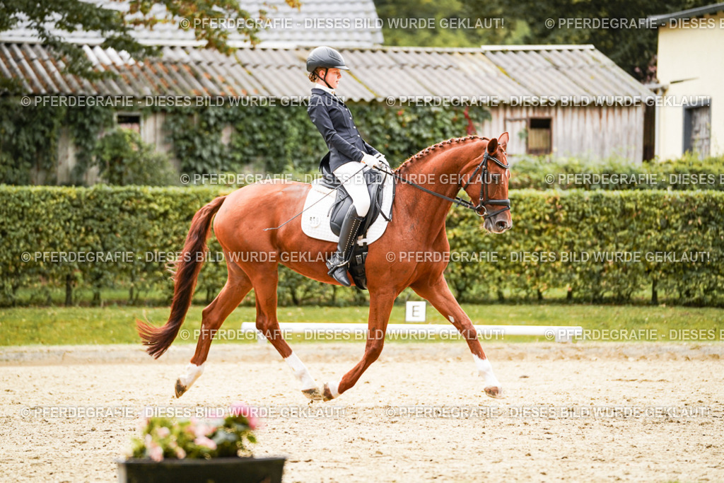 DSC07605 | Pferdegrafie