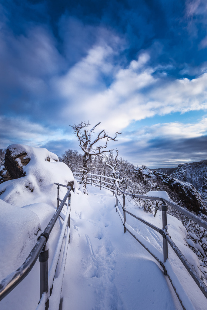 Rosstrappe an einem Wintermorgen | Wir machen aus Ihren Bildern Erinnerungen für die Ewigkeit | Hochwertige Fotografien für Ihr zu Hause. - Realisiert mit Pictrs.com