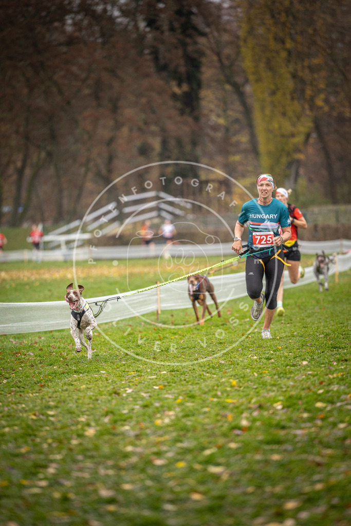 CaniXpix_DV3A9300 | Hundefotografie, Tierfotograf, Pfotenfotografie, Fotoshooting Hund, Hunde Portrait, Hundesport, Hundeportraits, Heideshooting, Hunde, Sportfotograf, Hundefotograf, Turnierhundsport, THS,  - Realisiert mit Pictrs.com
