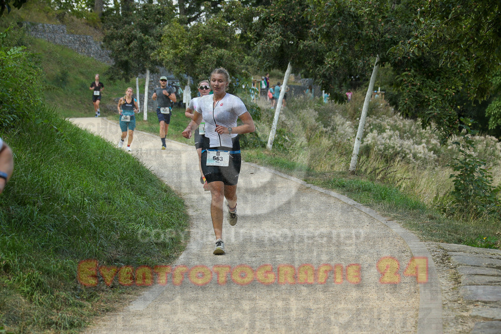 250824_1434_EX1_6681 | Sportfotografie im Rhein-Sieg Kreis, Köln, Bonn, NRW, Rheinland Pfalz, Hessen, etc. Unser Tätigkeitsfeld umfasst den Laufsport vom Volkslauf über den Marathon, Duathlon, Triathon bis zum Ultralauf wie Kölnpfad Ultra oder Schindertrail.