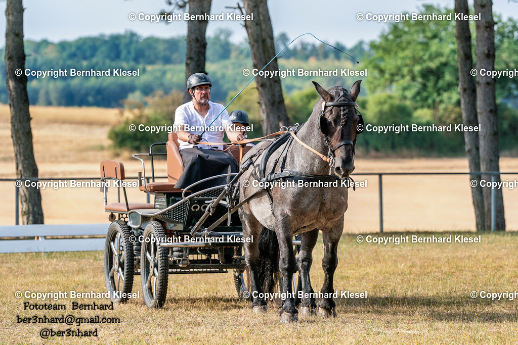2A901799 | foto-team-bernhard - Realisiert mit Pictrs.com