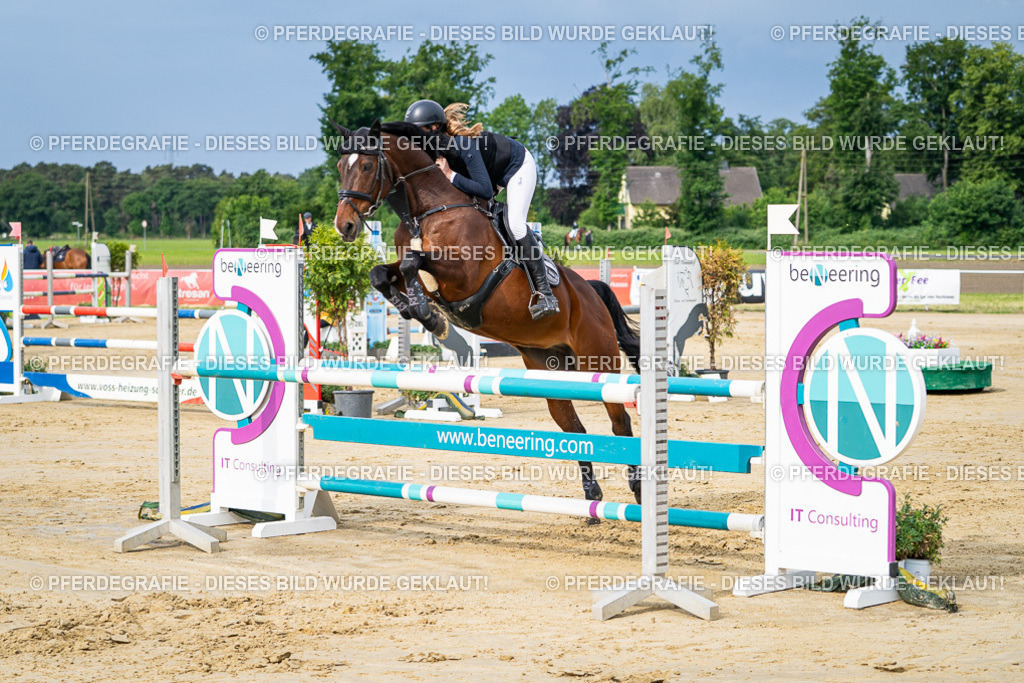 DSC03693 | Pferdegrafie