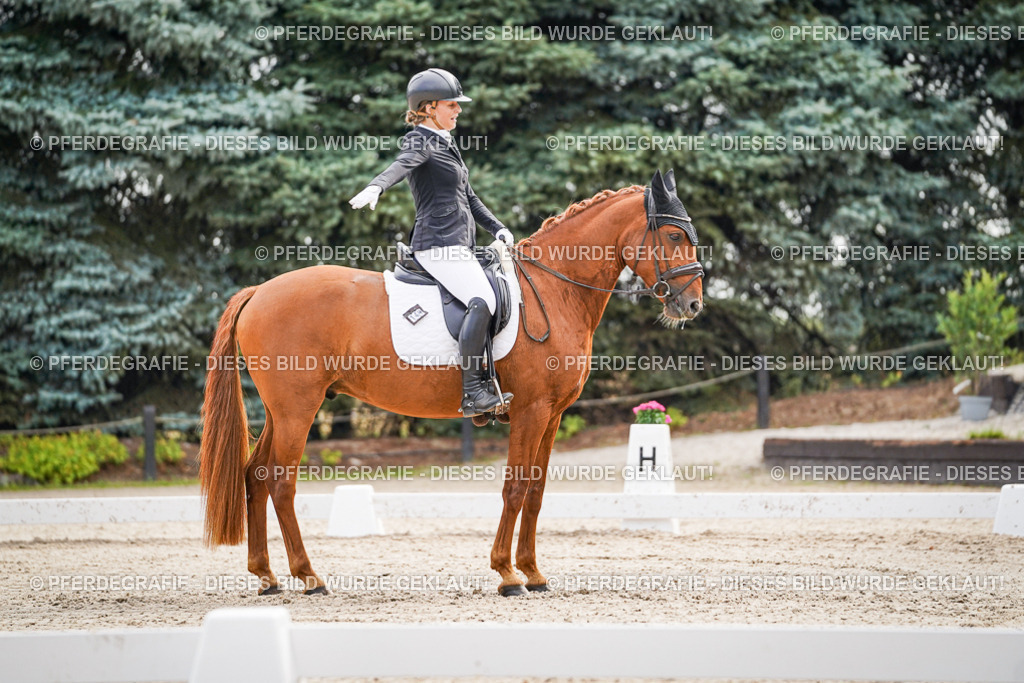 DSC01416 | Pferdegrafie