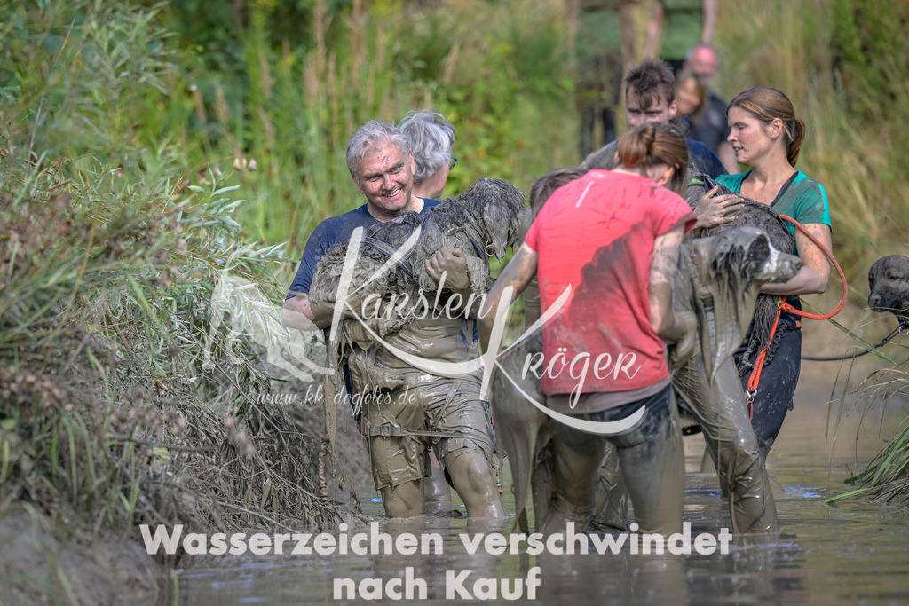 1643_ZZ97537 | kk-dogfotos