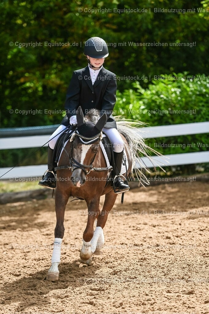 20230716_10-3_Reiter-WB Schritt - Trab - Galopp_0075 | equistock