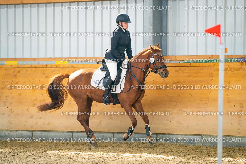 DSC01421 | Pferdegrafie