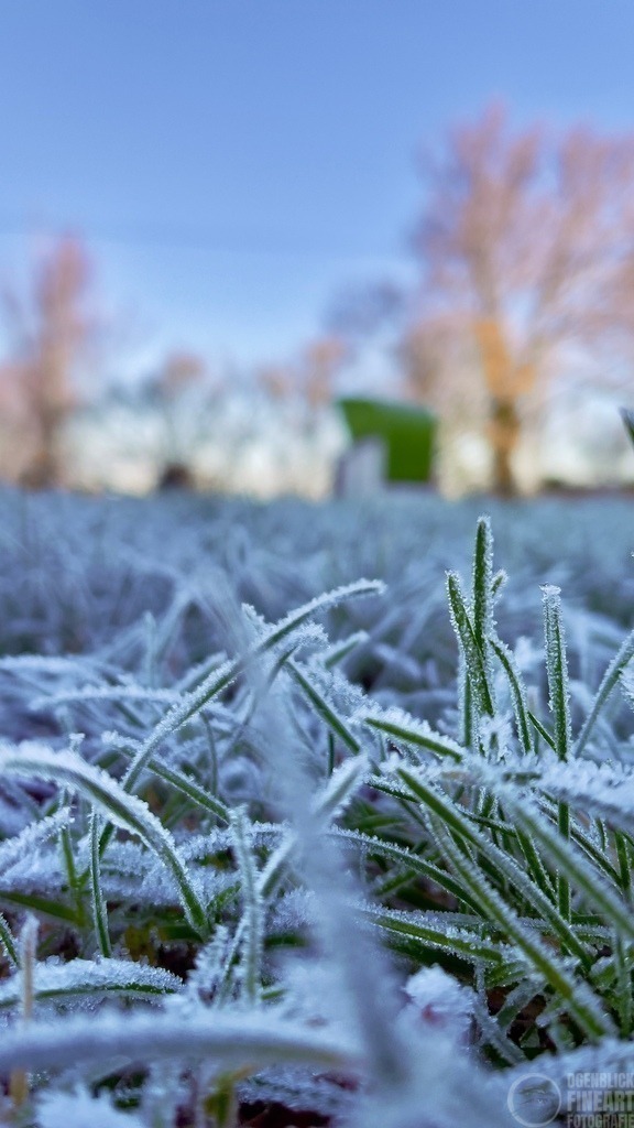 IMG_2744 | Björn Thiemann; Ogenblick.de; Fotografie; Photograph; Landscape, Pellworm, Schleswig-Holstein; Inselfotograf; Inselfotografien; Wattenmeer; National-Park; Naturschutzgebiet; Leuchtturm; Lighthouse; Leinwandbilder; Kalender; Pellworm Kalender;  - Realisiert mit Pictrs.com