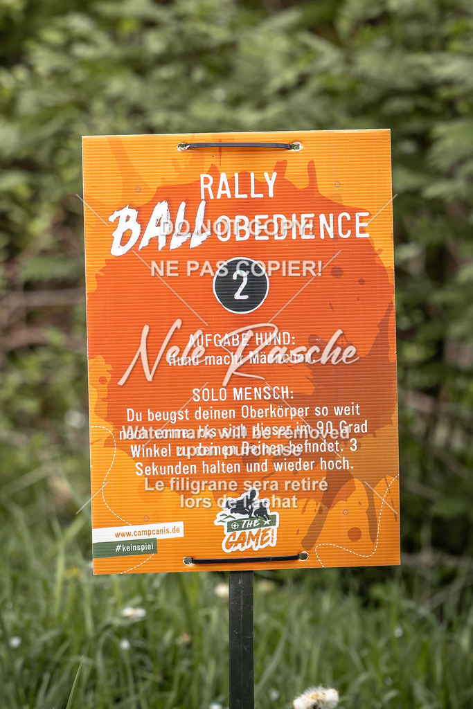 nelerasche_TheGame2026_SaRallyeO_07 | nelerasche