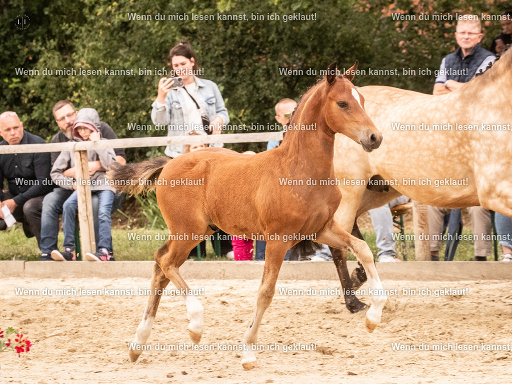 A10I2292 15.54.45 | photographylinaismer - Realisiert mit Pictrs.com