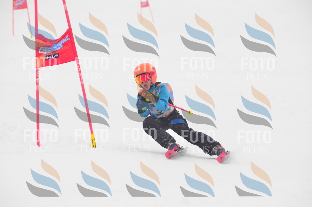 C0968 | holidayphoto