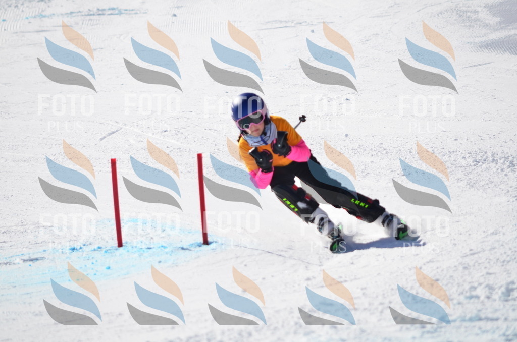 C8506 | holidayphoto