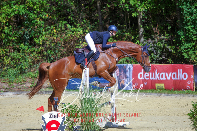 DKP43213 | Turniersportfotografie; Pferdefotografie; Dressurfotografie