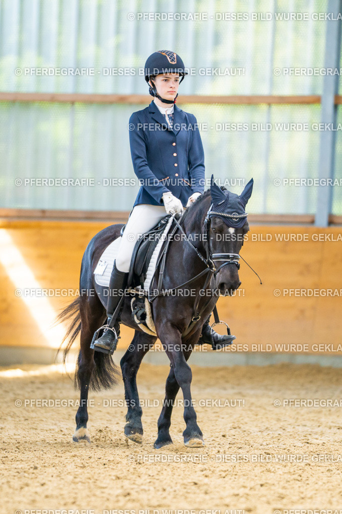 DSC08927 | Pferdegrafie