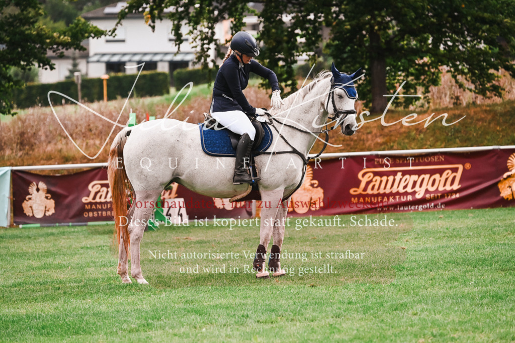 DSC_6007 | Pferde- und Turnierfotografie in Westsachsen. Pferdeportraits, Auftragszeichnungen und intuitive Kunst.
