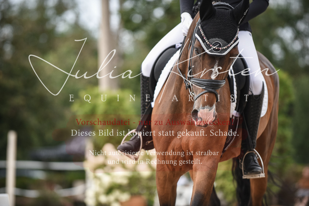 DSC_8536 | Pferde- und Turnierfotografie in Westsachsen. Pferdeportraits, Auftragszeichnungen und intuitive Kunst.