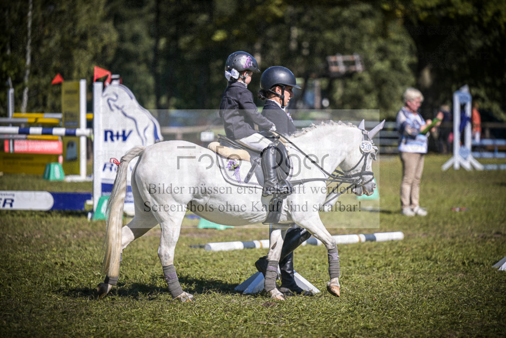 DOS_0280 | Entdecke hochwertige Reitturnierfotos von Foto Oger. Professionell, emotional und authentisch – jetzt Lieblingsmomente im Shop bestellen.Deutschlandweite Turnierfotografie. - Realisiert mit Pictrs.com
