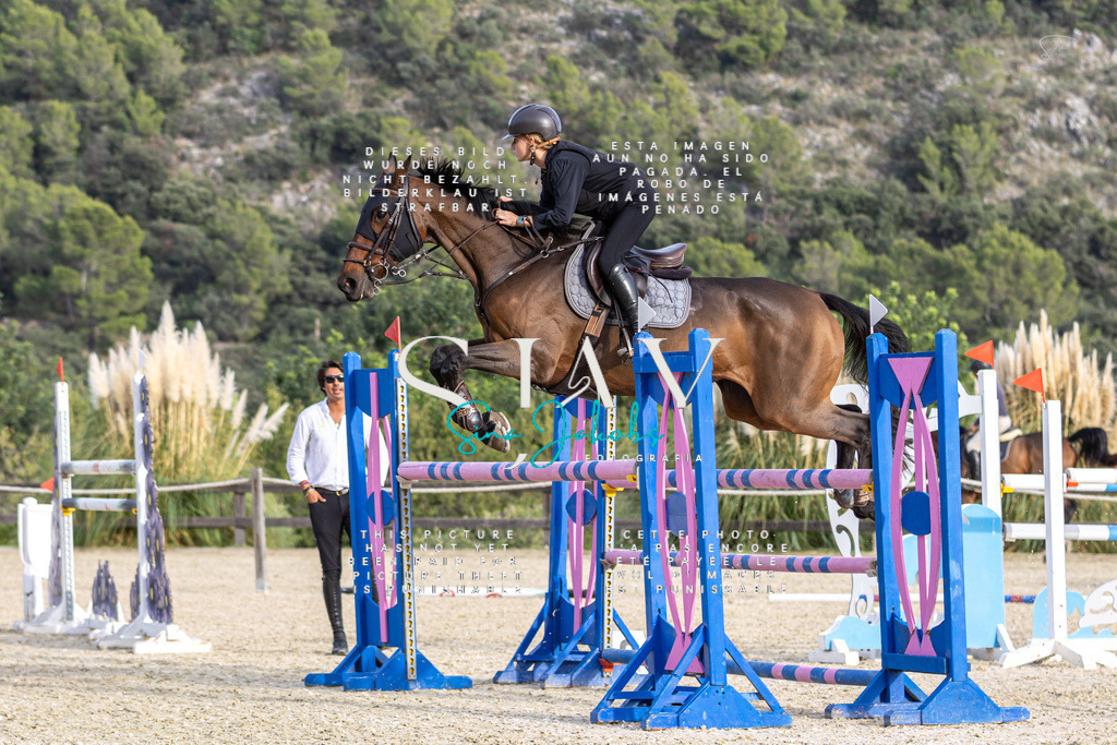 IMG_4878 | s-jay-photography - Realisiert mit Pictrs.com