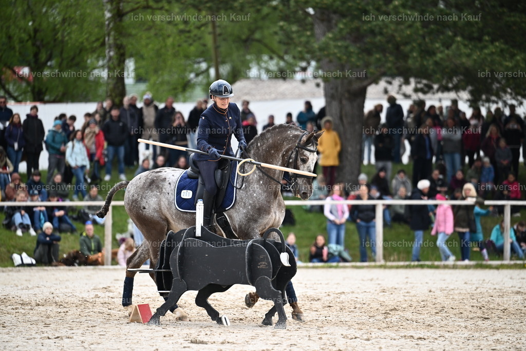 PI26_SP_Sara_Landvogt_226_5271.JPG | working equitationturnier fotograf videograf stoibphotography marixx film working equitation deutschland reitsport turnierfotografie eventfotografie equestrian events