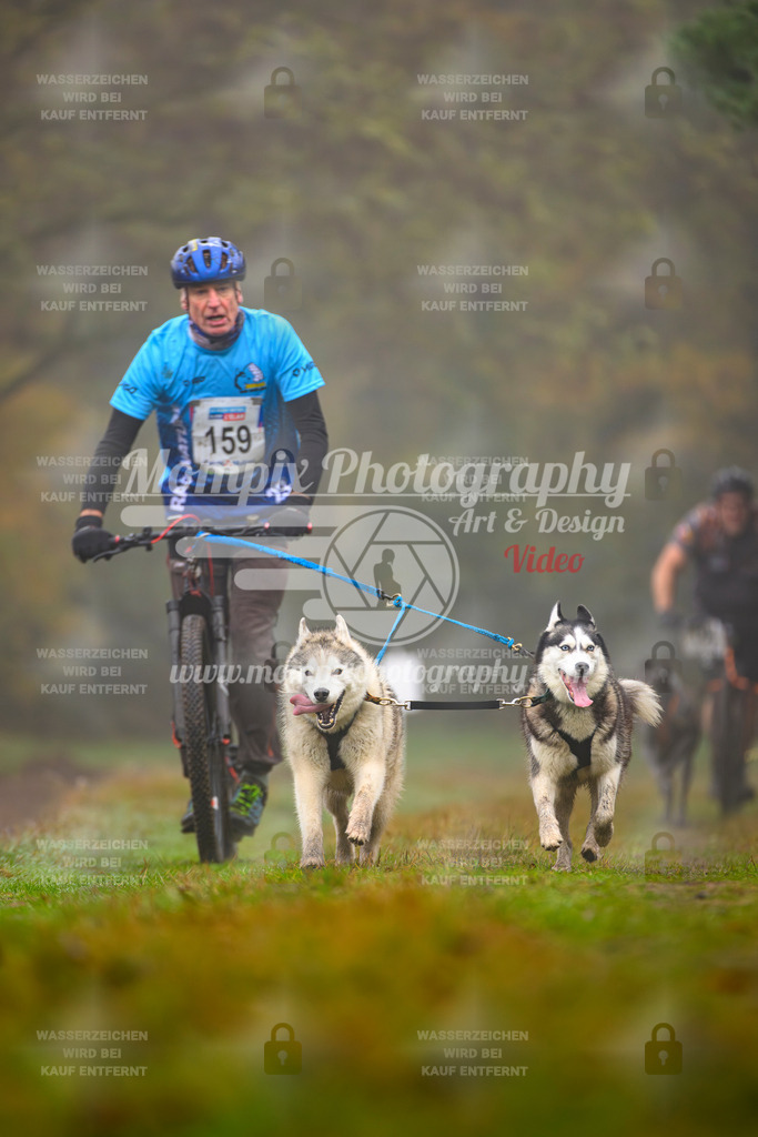 MompixPhotography_Bischwiller2025_Scooter-11 | mompixphotography