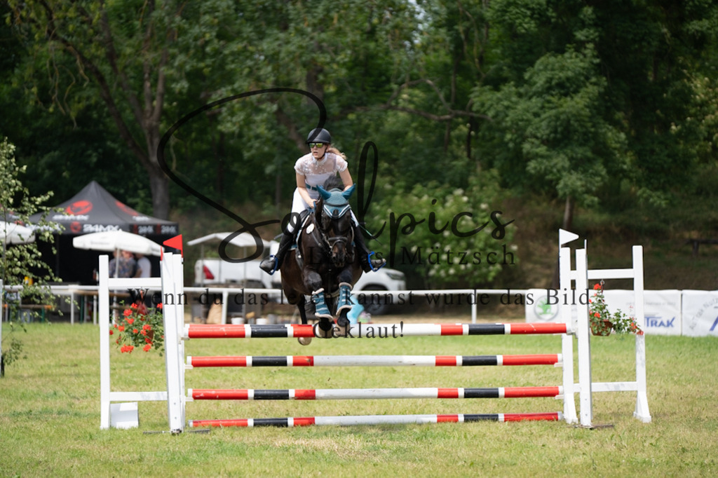 A7V06874 | Pferdefotograf