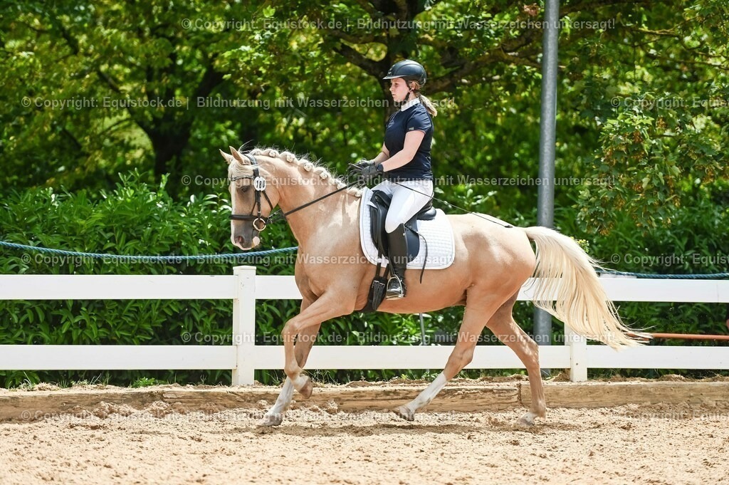 20230715_09_Dressur-WB_0545 | equistock