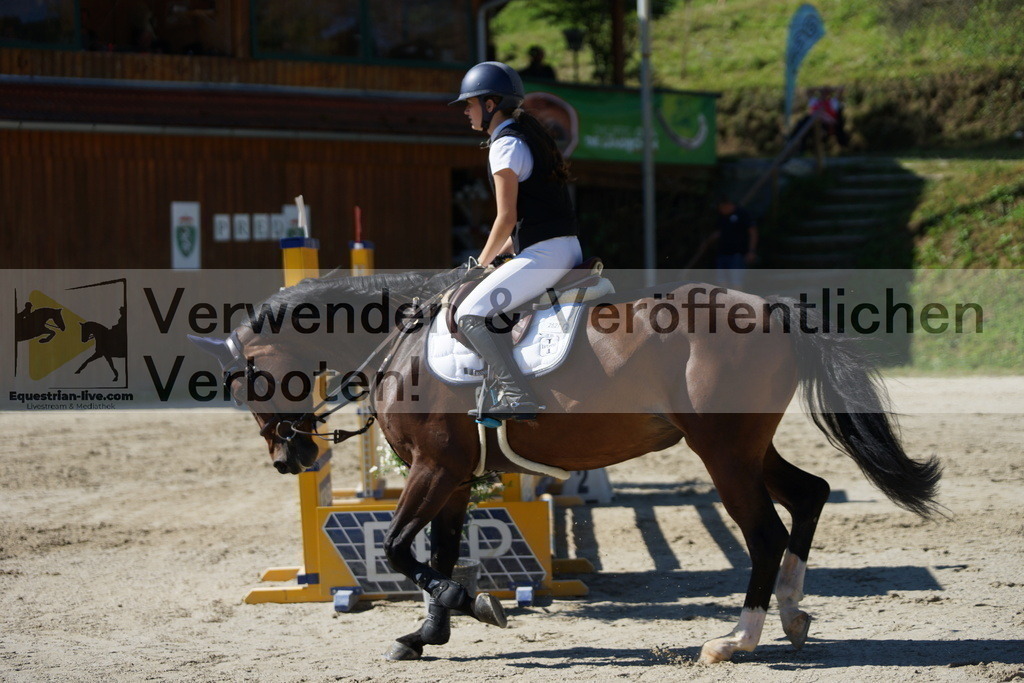 DSC02405 | equestrian-live-com