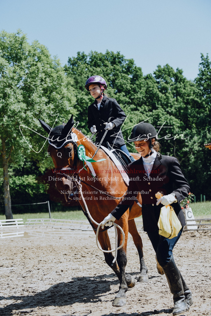 DSC_2382 | Pferde- und Turnierfotografie in Westsachsen. Pferdeportraits, Auftragszeichnungen und intuitive Kunst.