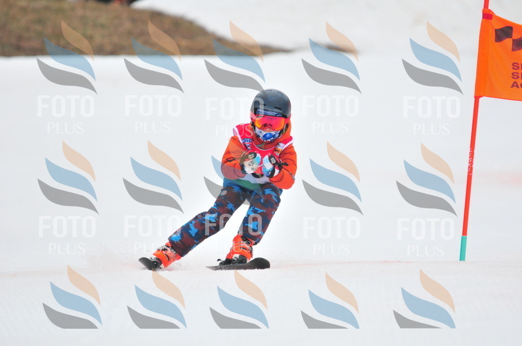 C0451 | holidayphoto