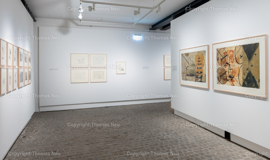 17_Neo_Rauch_Museum_Bensheim | 6.7.2024, bbe, Museum Bensheim, Ausstellung Neo Rauch "im Papiergrund", ,, Bild: Thomas Neu