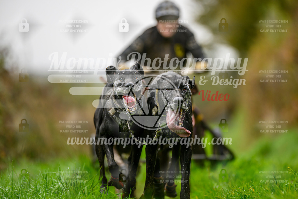 MompixPhotography_20TSB_E8_Kart-21 | PayLife