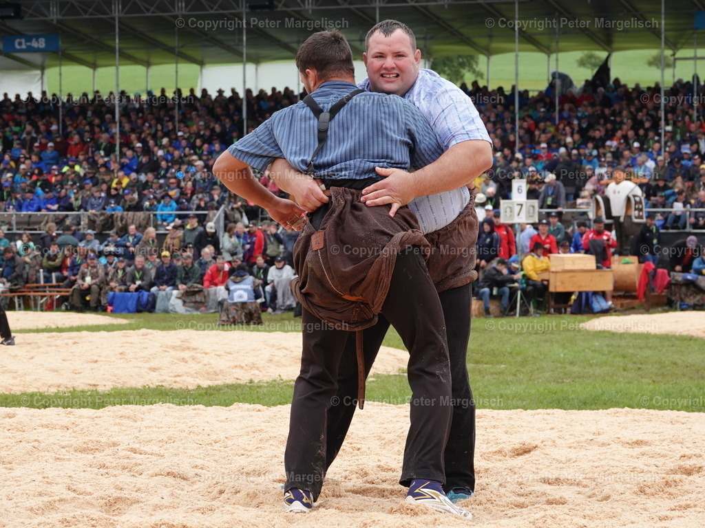 DSC07994 | Schwingen - Realisiert mit Pictrs.com