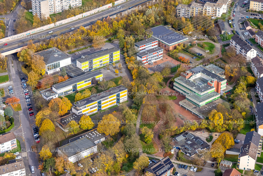 Hagen251101660 | Luftbild, Gymnasium und Realschule Hohenlimburg mit Sporthalle Wiesenstraße, herbstliche Bäume, Hohenlimburg, Hagen, Ruhrgebiet, Nordrhein-Westfalen, Deutschland