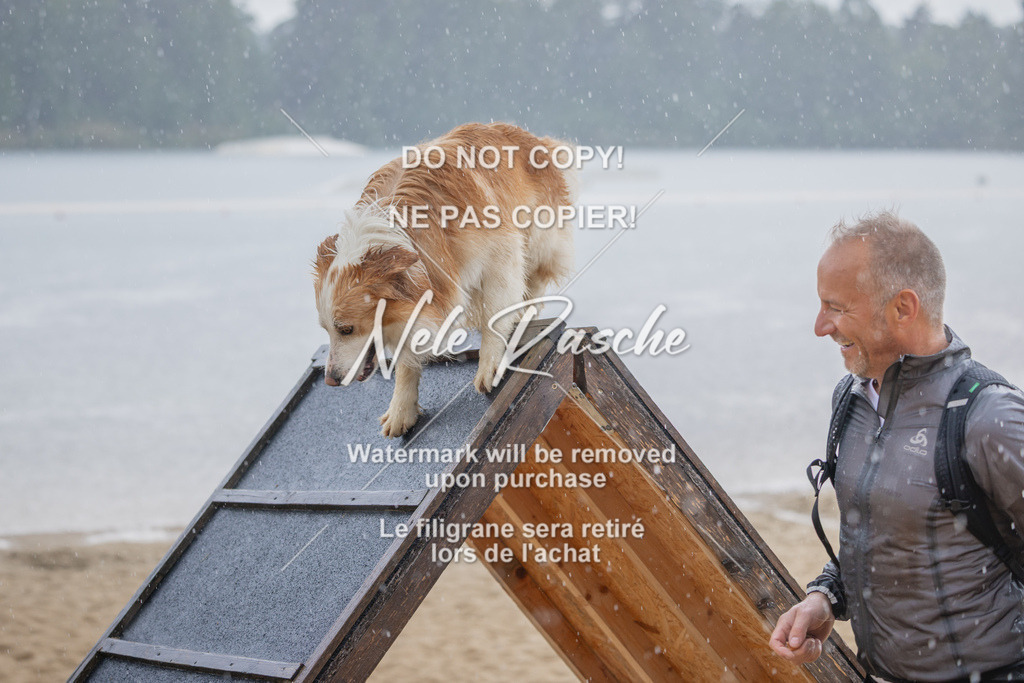nelerasche_BuHu2026_So1430-1530_137 | nelerasche