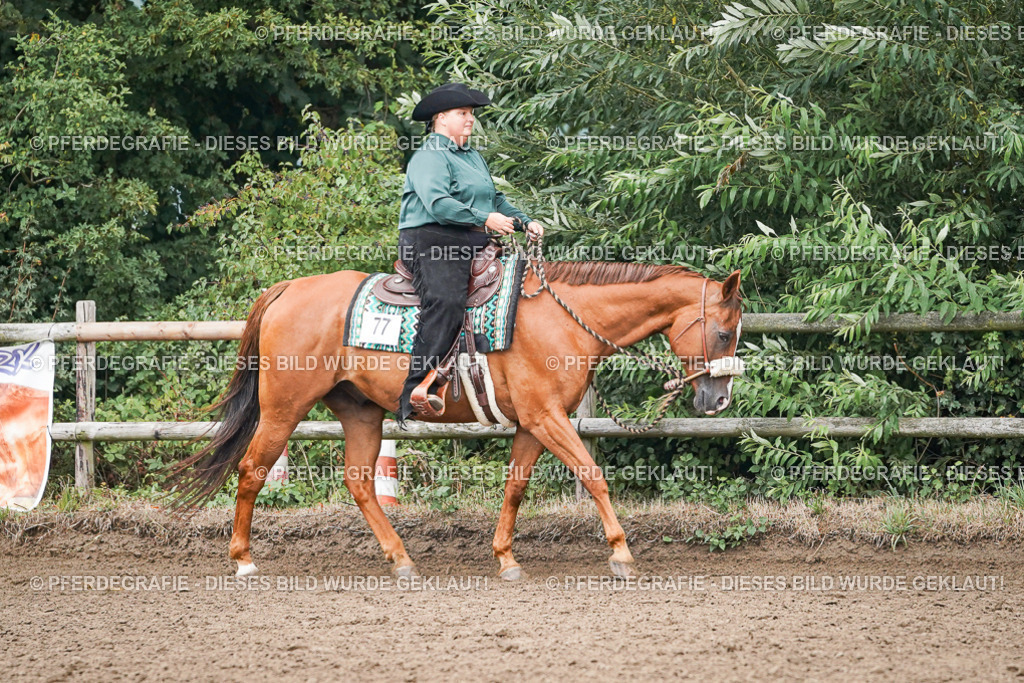 DSC01769 | Pferdegrafie