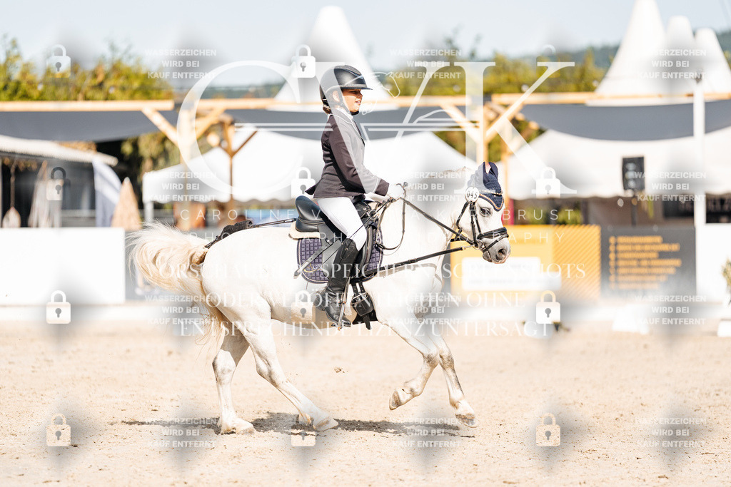CK905725 | Turnierfotografie Pferdefotografie Trier Rheinland-Pfalz Pferdesport Reitsport Tierfotografie Sportfotografie Pferdevideo Pferdevideografie Equestrianvideography equestrianphotography  - Realisiert mit Pictrs.com