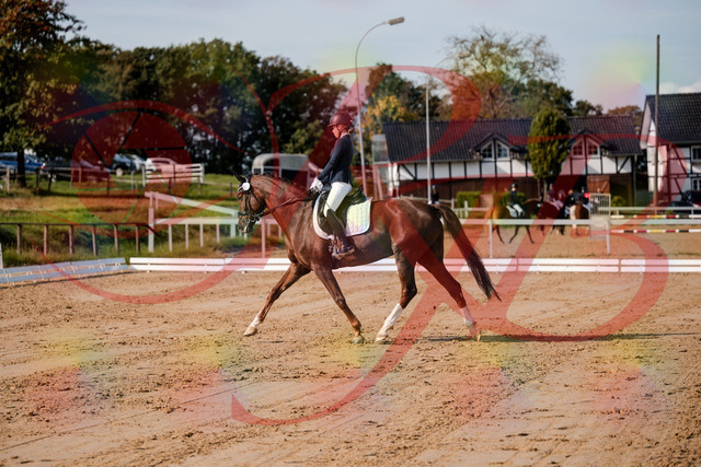 2026_10_03_Siefer-Hof_114730_Z63_26544910 | Professionelle Reitsport-, Turnier- und Eventfotografie von Robert Broda. Galerien mit ausgewählten und bearbeiteten Bildern direkt online ansehen und bestellen.