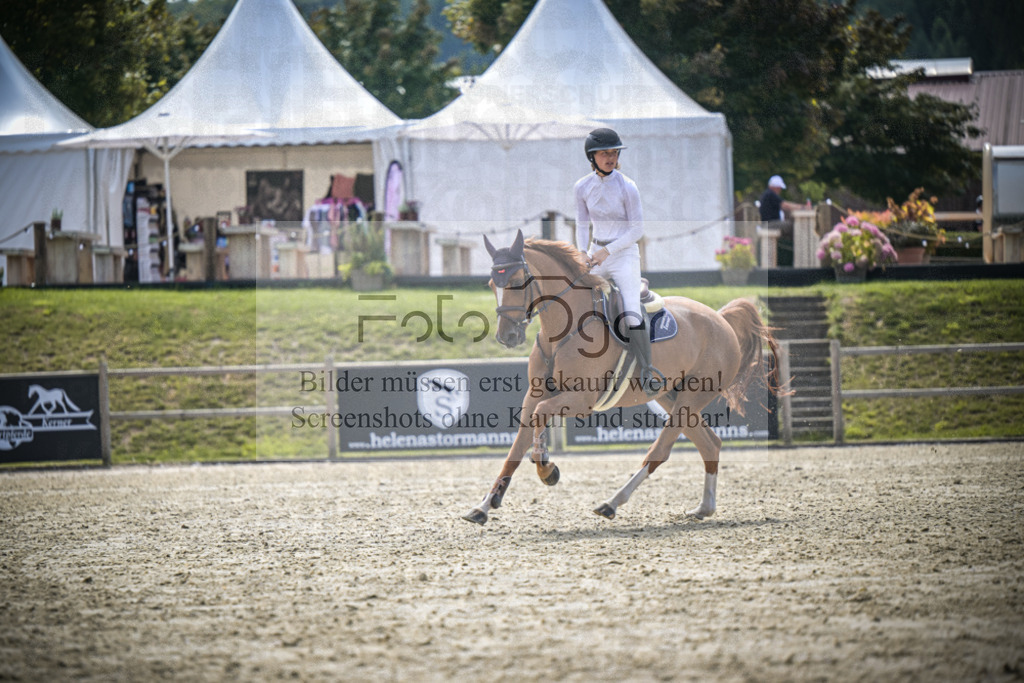 DOS_7452 | Entdecke hochwertige Reitturnierfotos von Foto Oger. Professionell, emotional und authentisch – jetzt Lieblingsmomente im Shop bestellen.Deutschlandweite Turnierfotografie. - Realisiert mit Pictrs.com