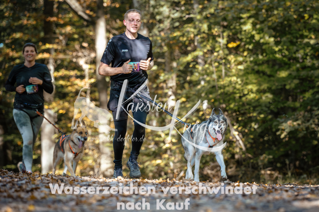 1144_ZZ93336 | kk-dogfotos