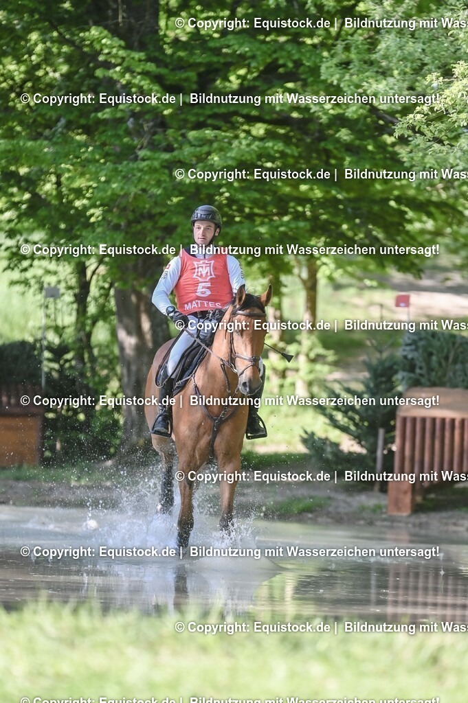 20250517_CCI2_Gelände_0211 | Foto: Thomas Hartig