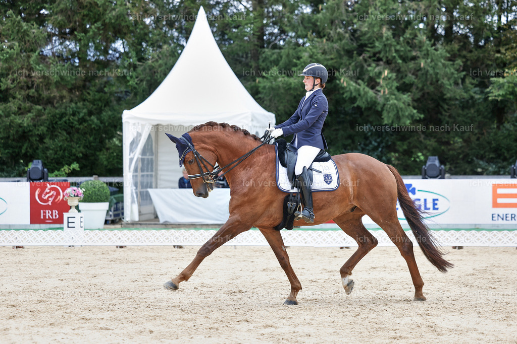 04_1-143-Dressur M__ -StoibPH-StoibPH-2689 | working equitationturnier fotograf videograf stoibphotography marixx film working equitation deutschland reitsport turnierfotografie eventfotografie equestrian events