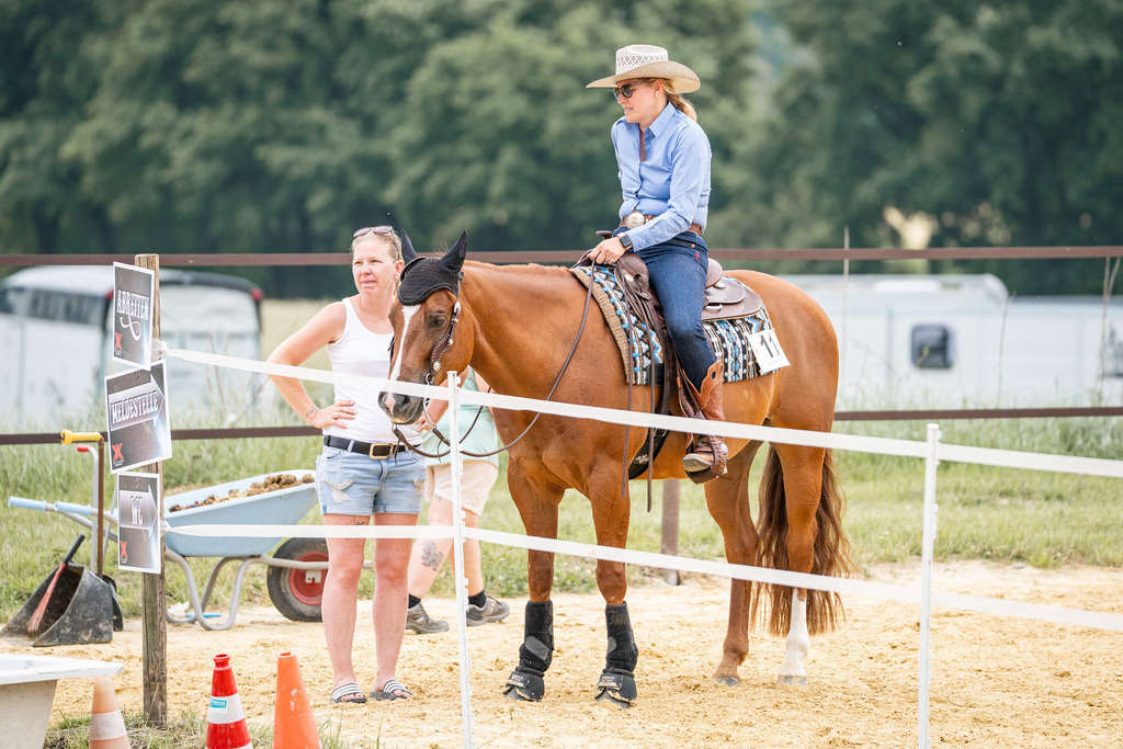 DSC07101 | Pferdegrafie