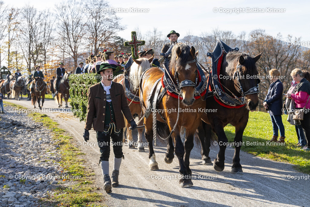 LBT24-1387 | foto-bettina-krinner - Realisiert mit Pictrs.com