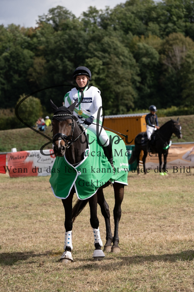 A7V01225 | Pferdefotograf