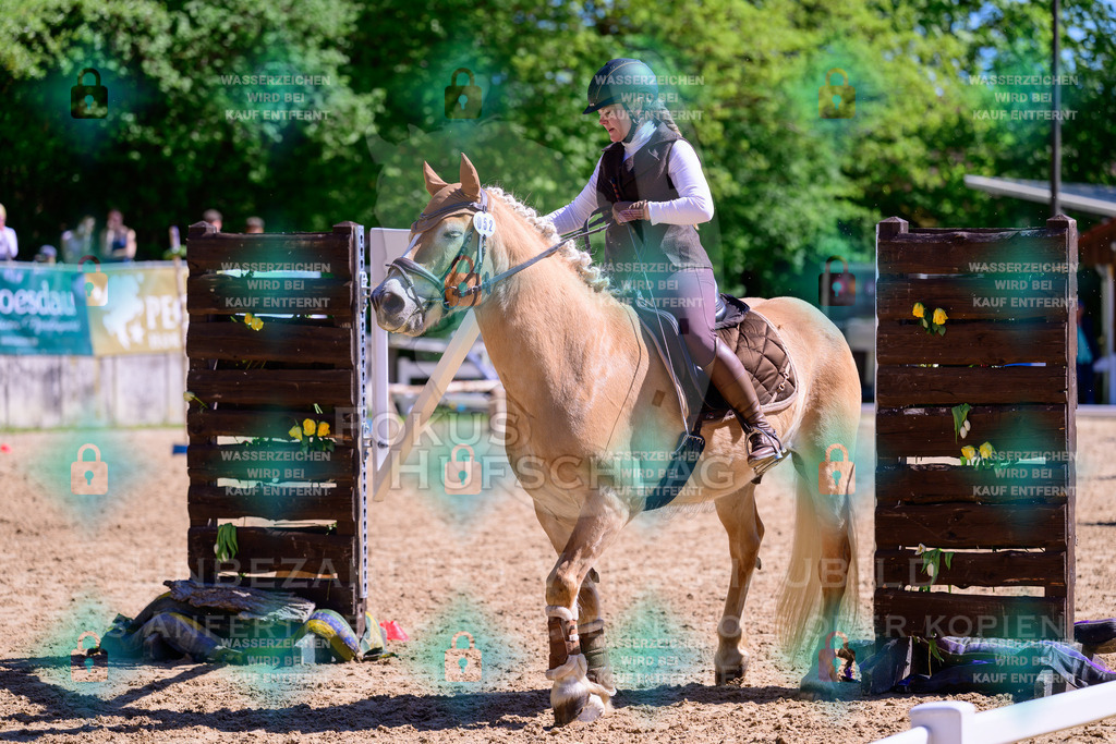 01052026-Giesenbach-02-Stiltrail-0488 | Fokus Hufschlag Fotografie - Realisiert mit Pictrs.com