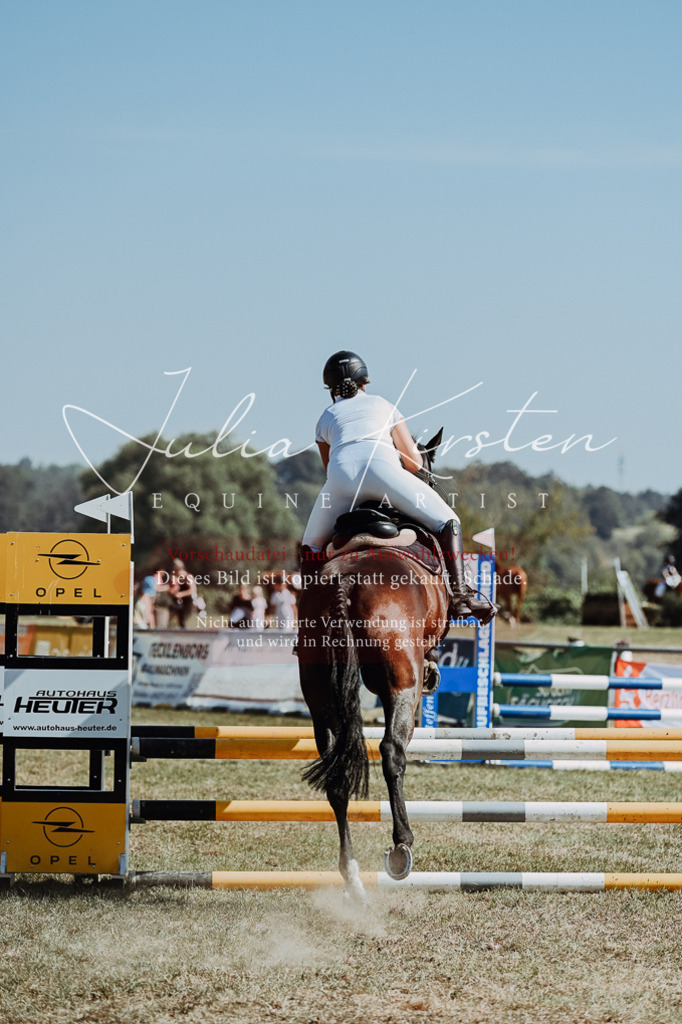 DSC_9551 | Pferde- und Turnierfotografie in Westsachsen. Pferdeportraits, Auftragszeichnungen und intuitive Kunst.